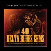 Album artwork for 40 Delta Blues Gems