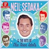 Album artwork for Neil Sedaka & the Hits of the Teen idols