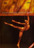 Album artwork for BAMBOO DREAM