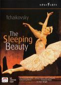 Album artwork for TCHAIKOVSKY - SLEEPING BEAUTY, THE
