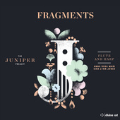 Album artwork for Fragments: Music for Flute & Harp (The Juniper Pro
