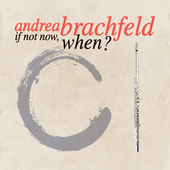 Album artwork for Andrea Brachfeld - If Not Now, When? 