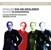 Album artwork for R. Strauss: Ein Heldenleben / Haitink