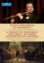 Album artwork for Flute Concertos at Sanssouci