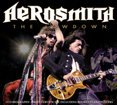 Album artwork for Aerosmith - The Lowdown 