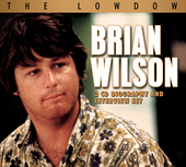 Album artwork for Brian Wilson - The Lowdown 