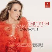Album artwork for Fiamma del Belcanto / Diana Damrau
