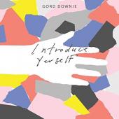 Album artwork for Gord Downie - Introduce Yourself