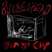 Album artwork for Buckethead - From The Coop 