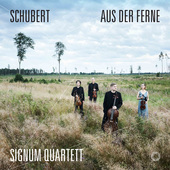 Album artwork for Schubert: Aus der Ferne