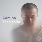 Album artwork for Camino / Sean Shibe
