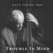 Album artwork for Dave Young Trio - Trouble in mind