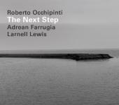 Album artwork for Roberto Occhipinti - The Next Step