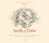 Album artwork for Handel: Apollo e Dafne, Vol. VII
