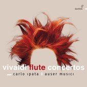 Album artwork for Flute Concertos op. 10