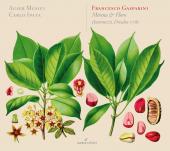 Album artwork for Gasparini: Mirena e Floro