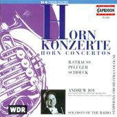 Album artwork for R.Strauss, Pfluger, Schoeck: Horn Concertos (Joy)