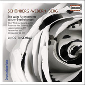 Album artwork for J. Strauss, Jr.: The Waltz Arrangements by Schoebe