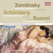 Album artwork for Schoenberg: Chamber Symphony No. 1 - Zemlinsky: 6 