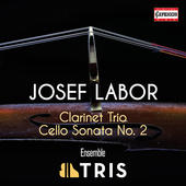 Album artwork for Labor: Clarinet Trio - Cello Sonata No. 2