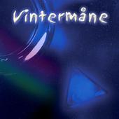 Album artwork for VINTERMANE