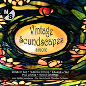 Album artwork for Vintage Soundscapes & More