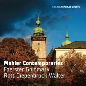 Album artwork for Mahler Contemporaries