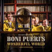 Album artwork for Wonderful World / Boni Pueri