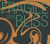 Album artwork for FRAGILE BLISS