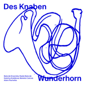 Album artwork for DAS KNABEN WUNDERHORN