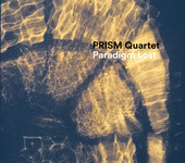 Album artwork for Paradigm Lost