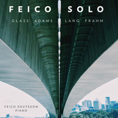 Album artwork for Feico Solo