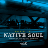 Album artwork for Native Soul - What Is That Isn't? 