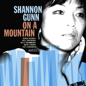 Album artwork for Shannon Gunn - On A Mountain 