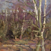 Album artwork for Olwen Morris Plays
