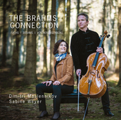 Album artwork for The Brahms Connection