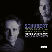 Album artwork for Schubert: Arpeggione Sonata, Fantasy in C (Wispel