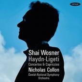 Album artwork for Shai Wosner Hadyn-Ligeti Concertos & Capriccios