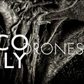 Album artwork for Nico Muhly: Drones