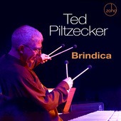 Album artwork for Ted Piltzecker - Brindica 