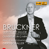 Album artwork for Bruckner: String Quintet in F Major (Arr. G. Schal