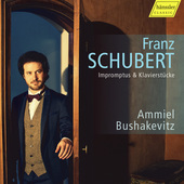 Album artwork for Schubert: Impromptus & Klavierstücke