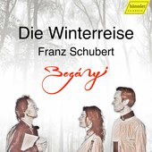Album artwork for Die Winterreise Op. 89 - Instrumental