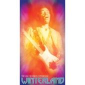 Album artwork for The Jimi Hendrix Experience:  Winterland