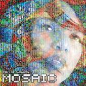 Album artwork for Terri Lynn Carrington: Mosaic Project
