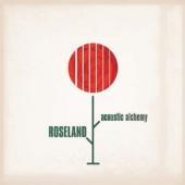 Album artwork for Acoustic Alchemy: Roseland