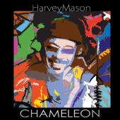 Album artwork for Chameleon / Harvey Mason