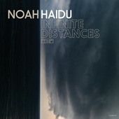 Album artwork for Noah Haidu - Infinite Distances 