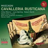 Album artwork for Mascagni: Cavalleria Rusticana