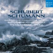 Album artwork for Schumann & Schubert: Sacred Choral Works